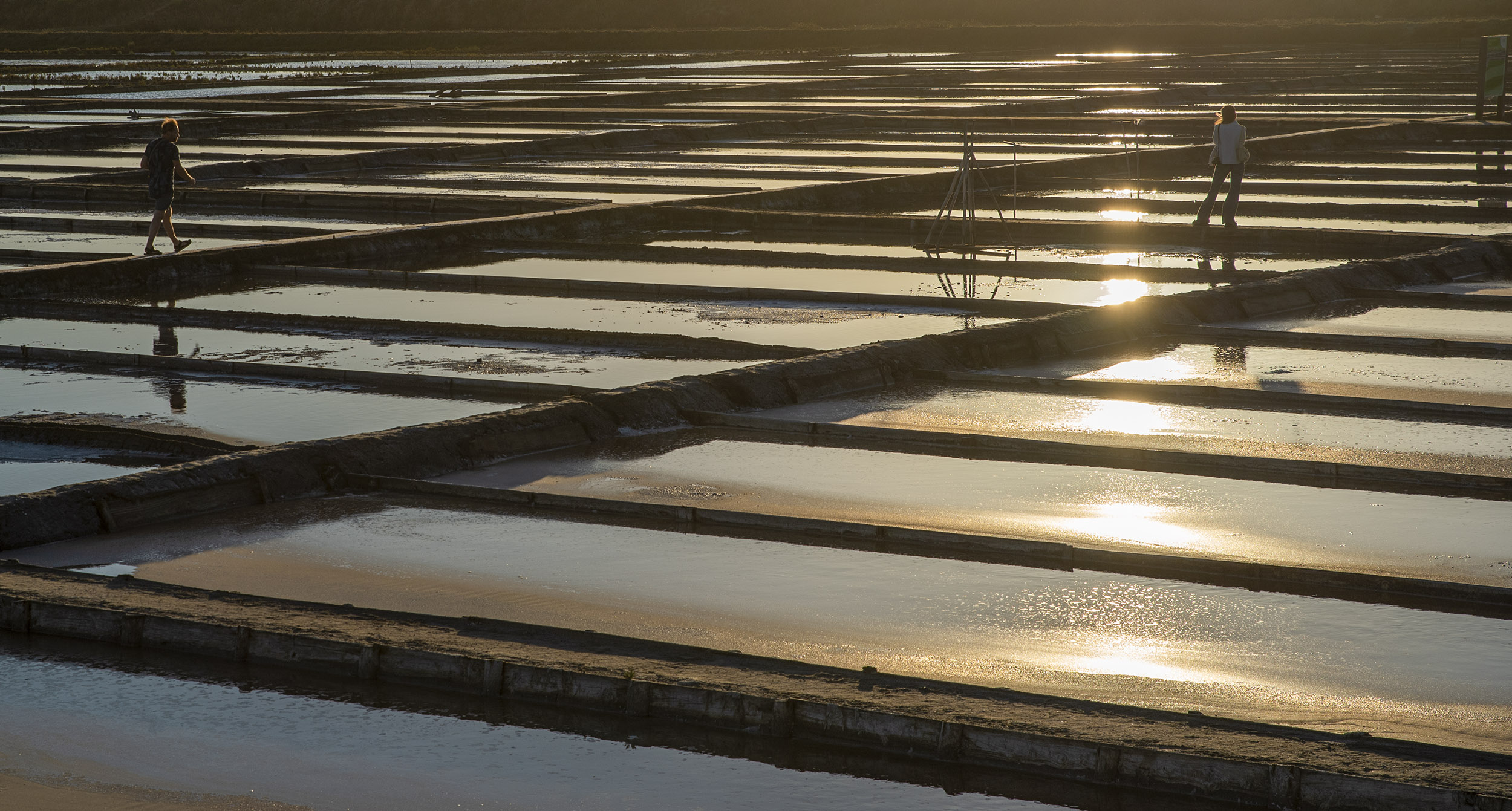 A Cor Dourada Das Salinas De Aveiro Andarilho